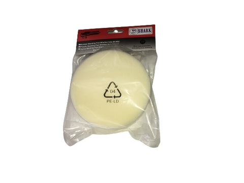 Cotton Sponge